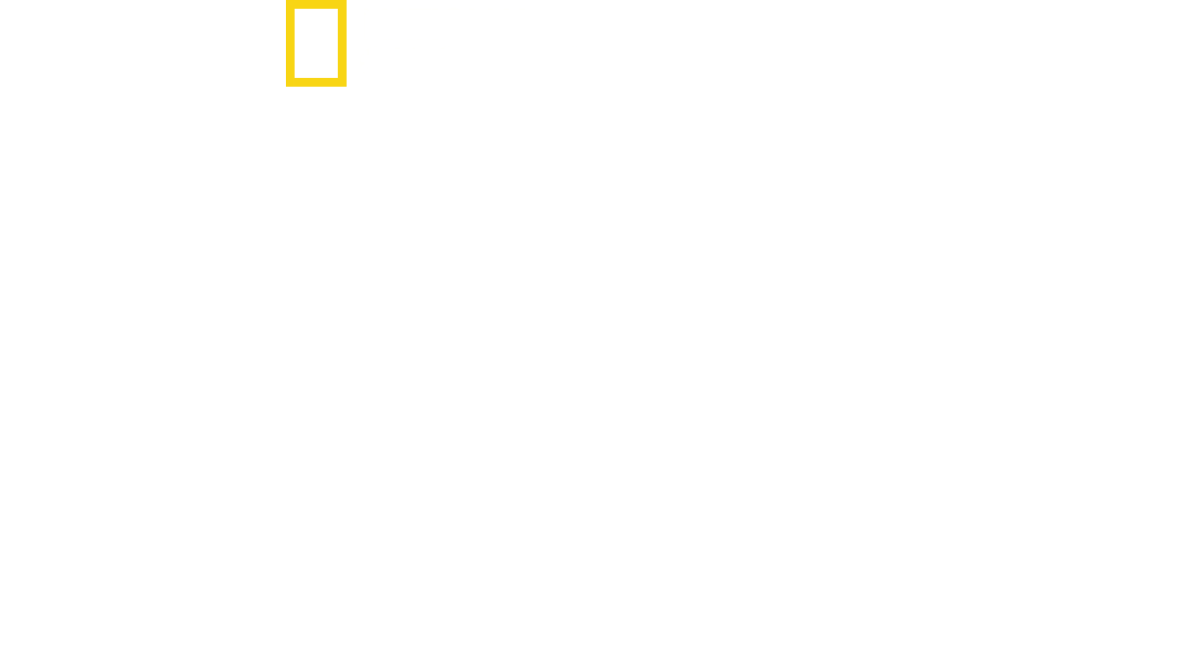 Les trésors perdus de Rome