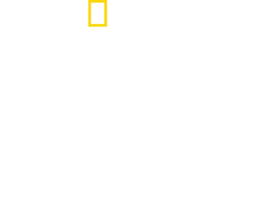 Les trésors perdus de Rome