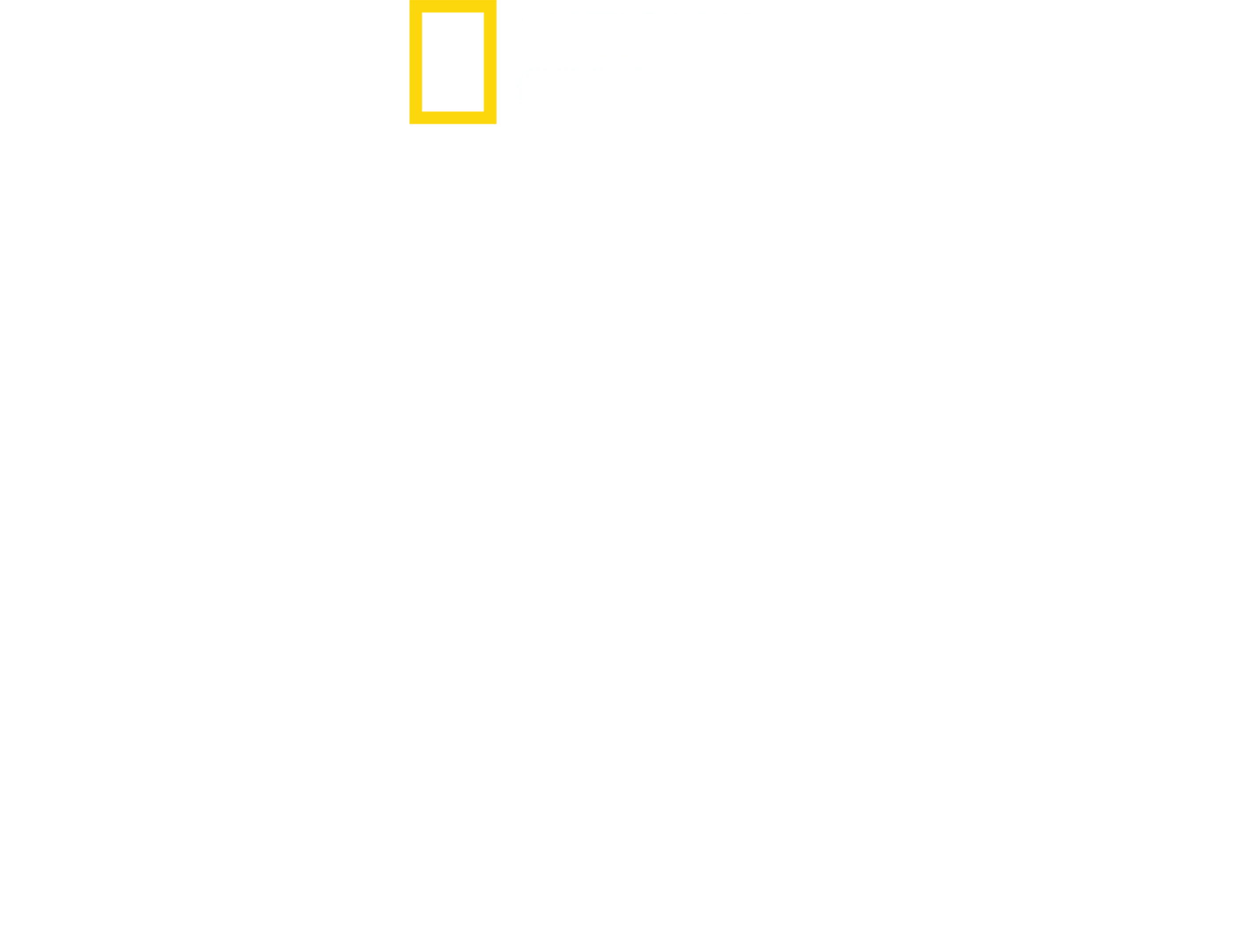 Les trésors perdus de Rome