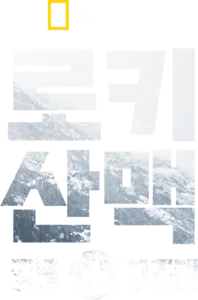 로키산맥 동물 구조대