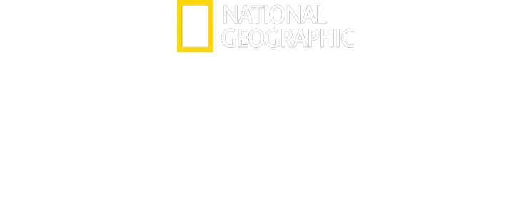 Na krawędzi ryzyka