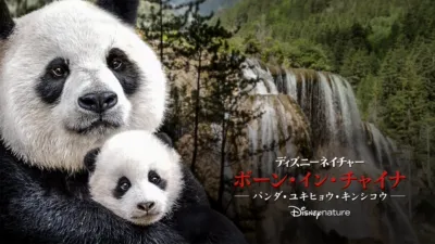 ボーン・イン・チャイナ - パンダ・ユキヒョウ・キンシコウ -