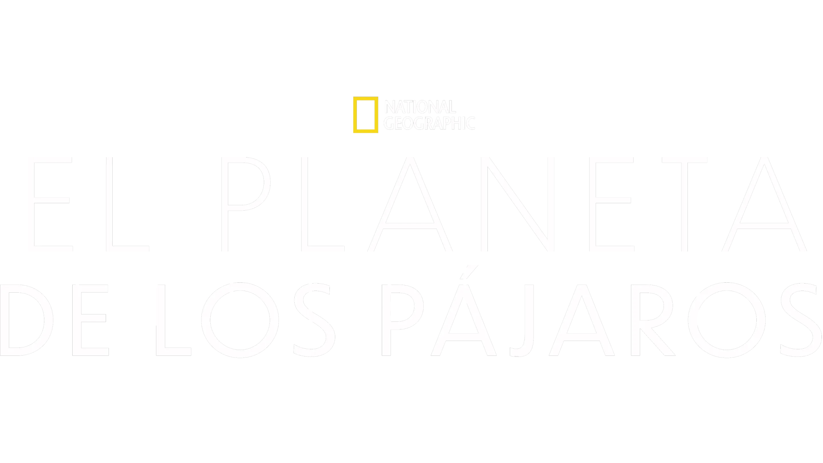 El Planeta de los Pájaros