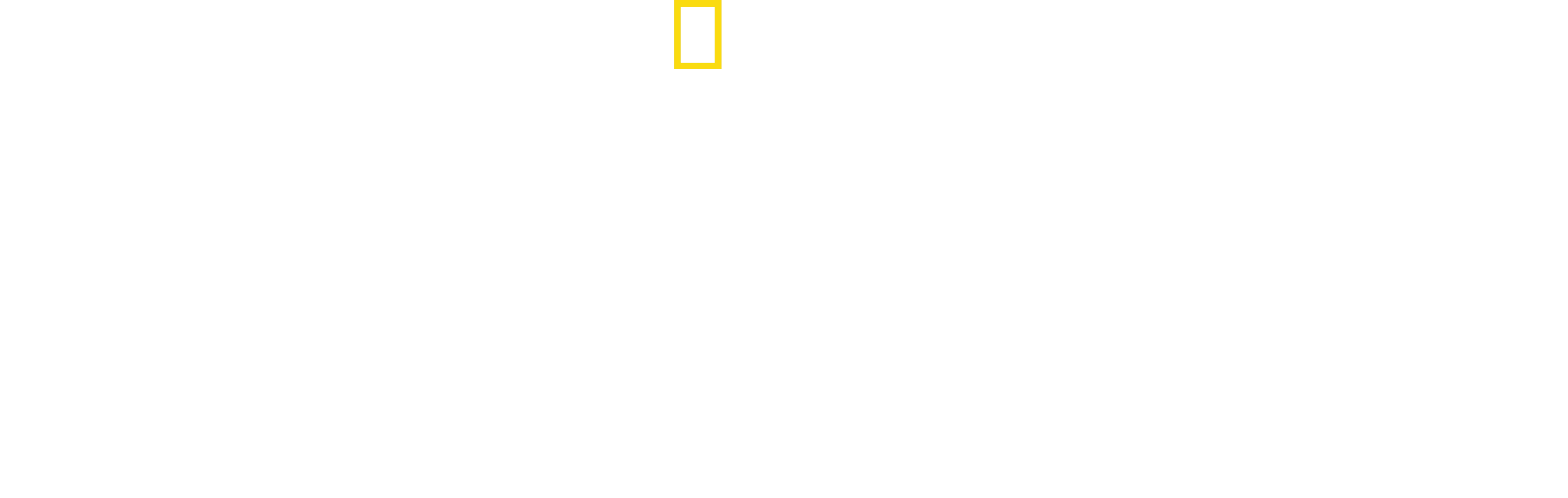 El Planeta de los Pájaros