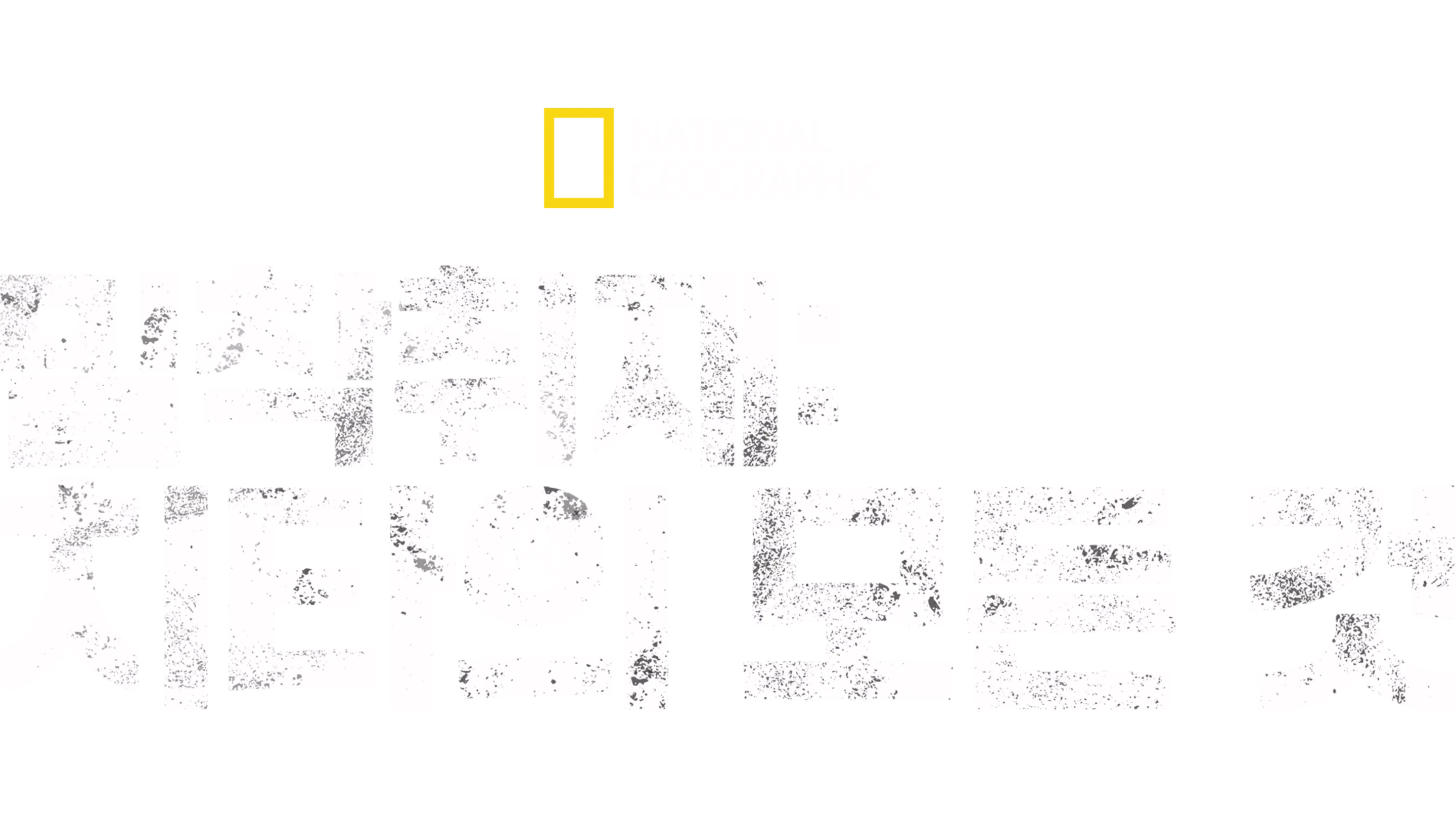 밀착취재: 치타의 모든 것