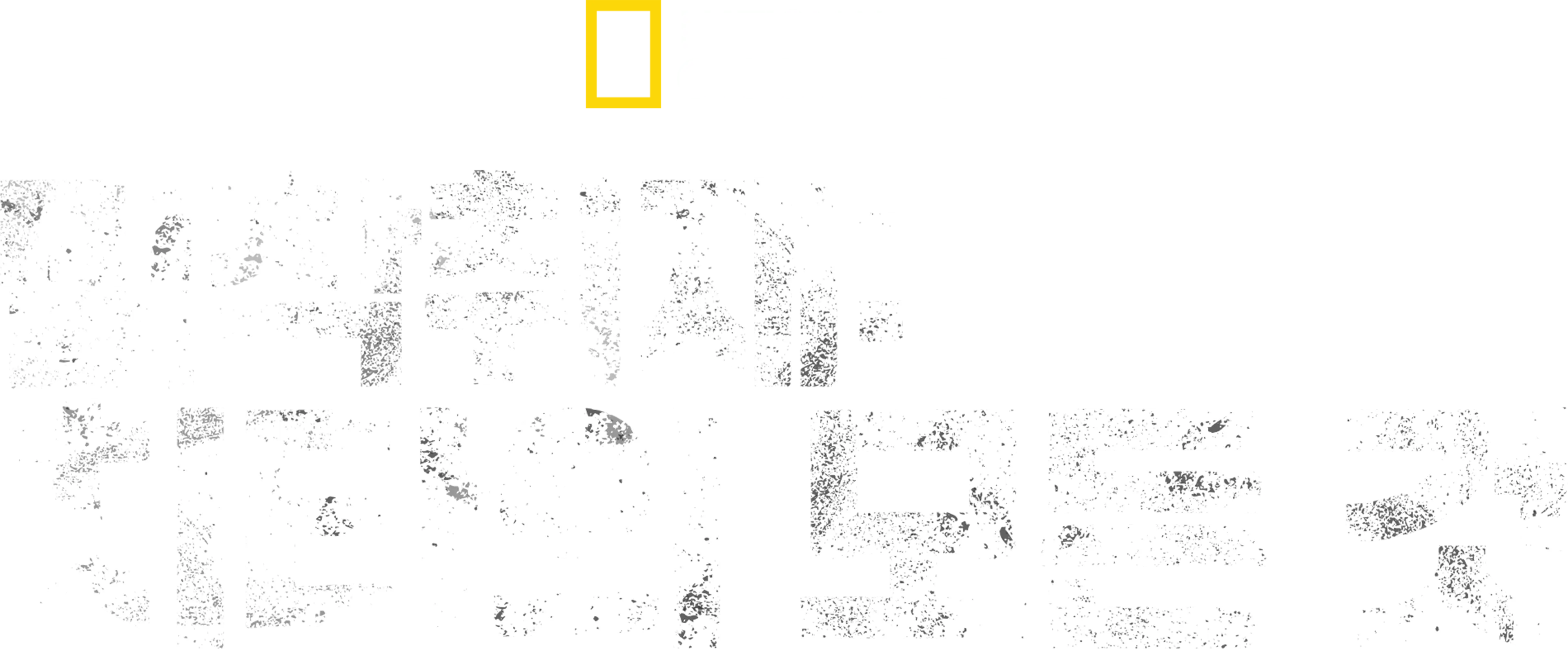 밀착취재: 치타의 모든 것