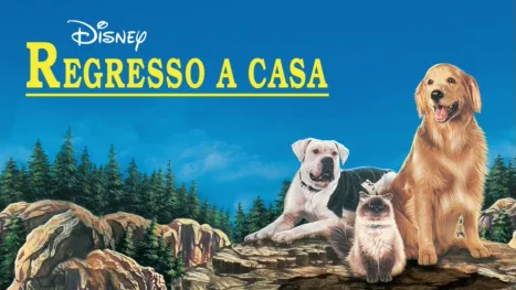 thumbnail - Regresso a Casa