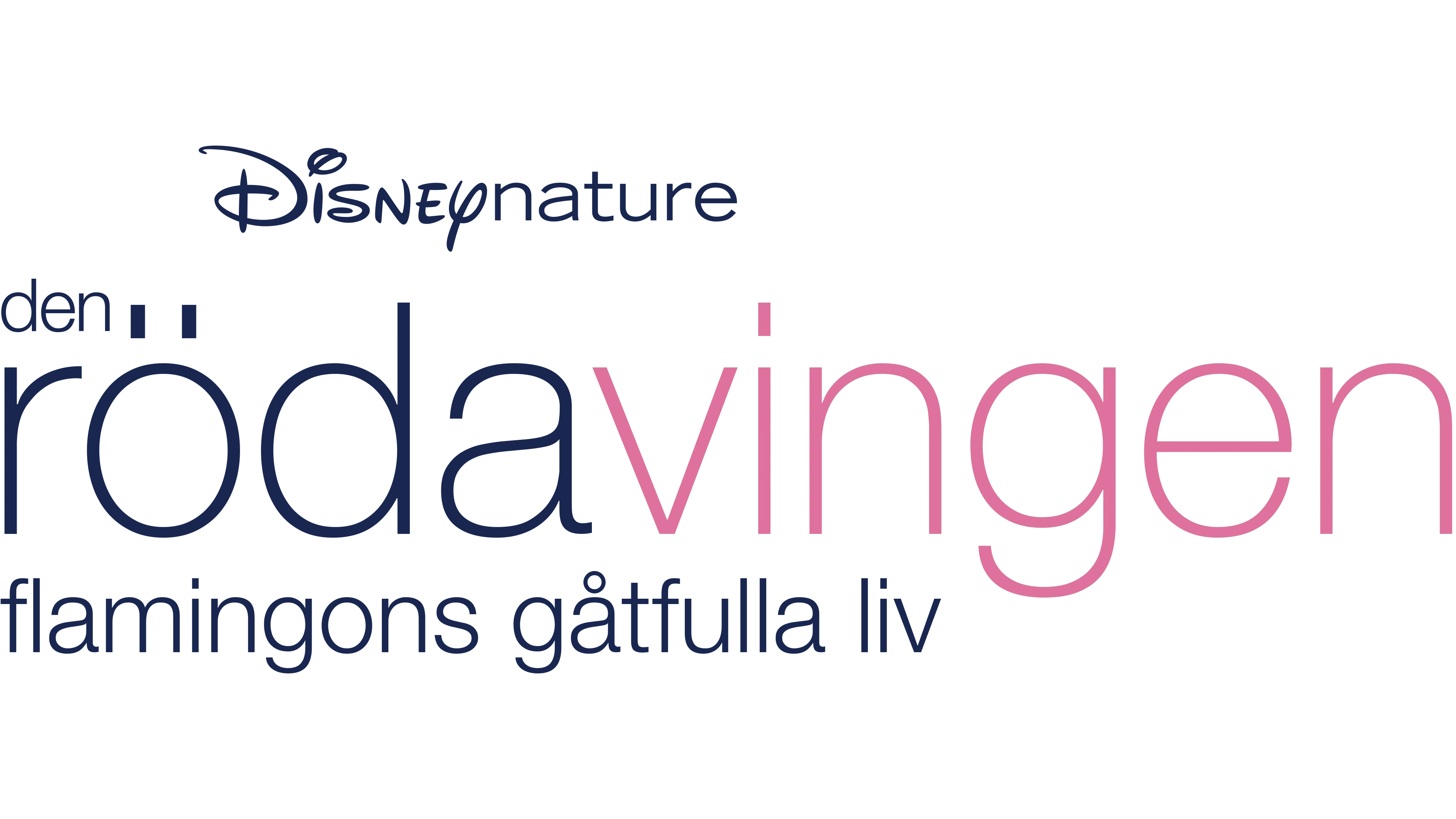 Den röda vingen: Flamingons gåtfulla liv