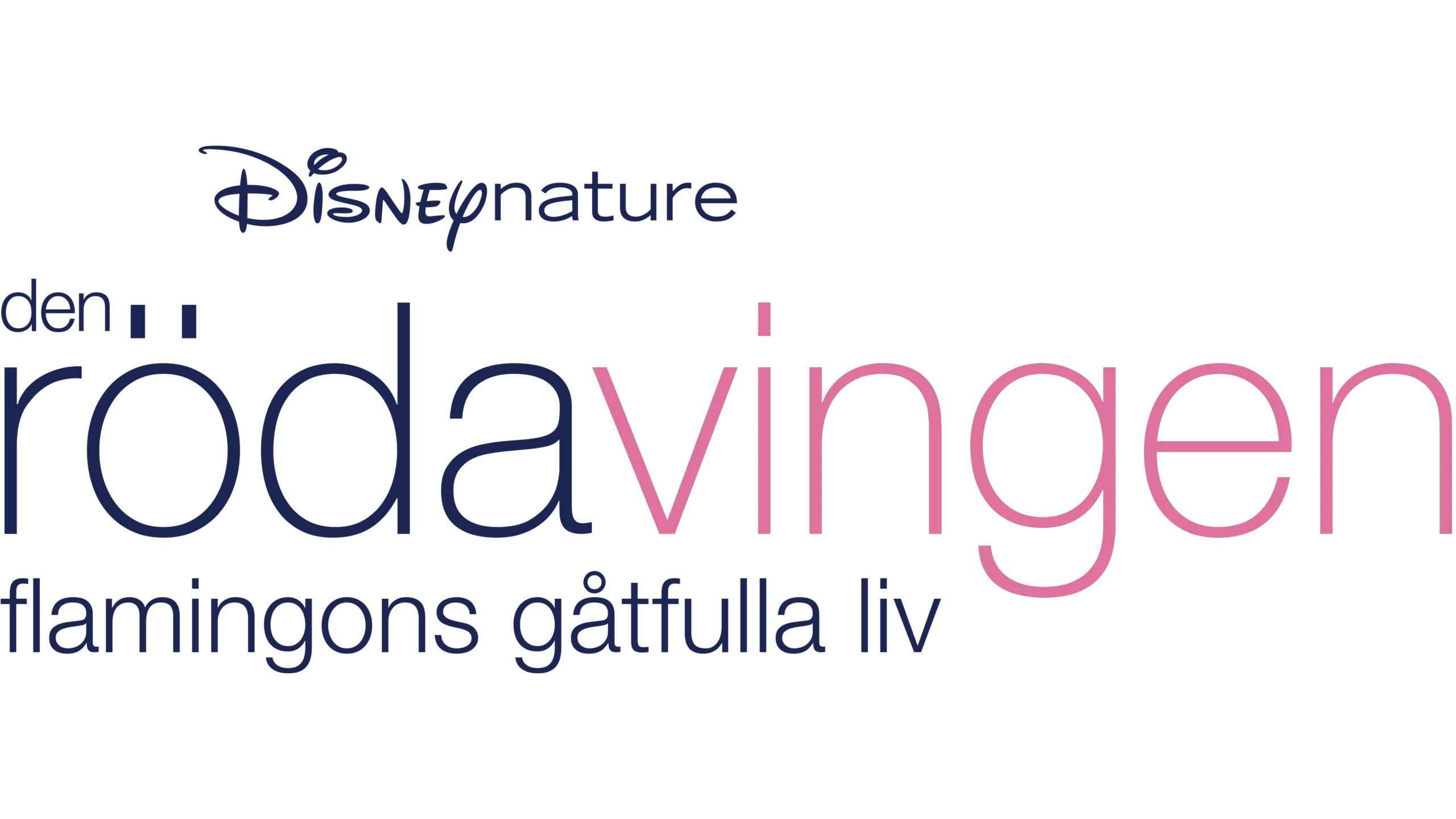 Den röda vingen: Flamingons gåtfulla liv