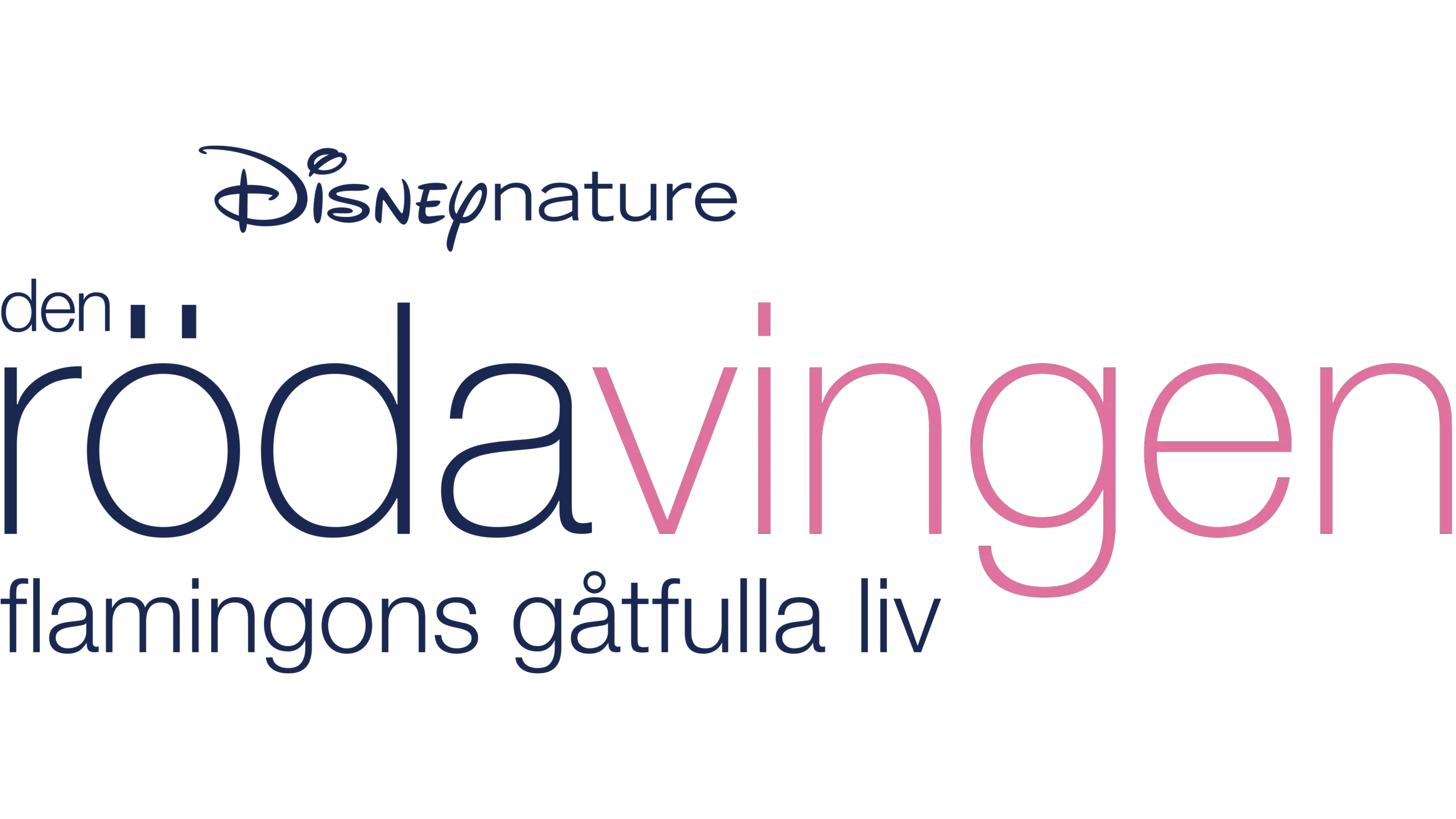 Den röda vingen: Flamingons gåtfulla liv