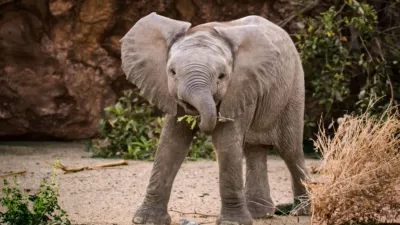 thumbnail - S1:E2 Desert