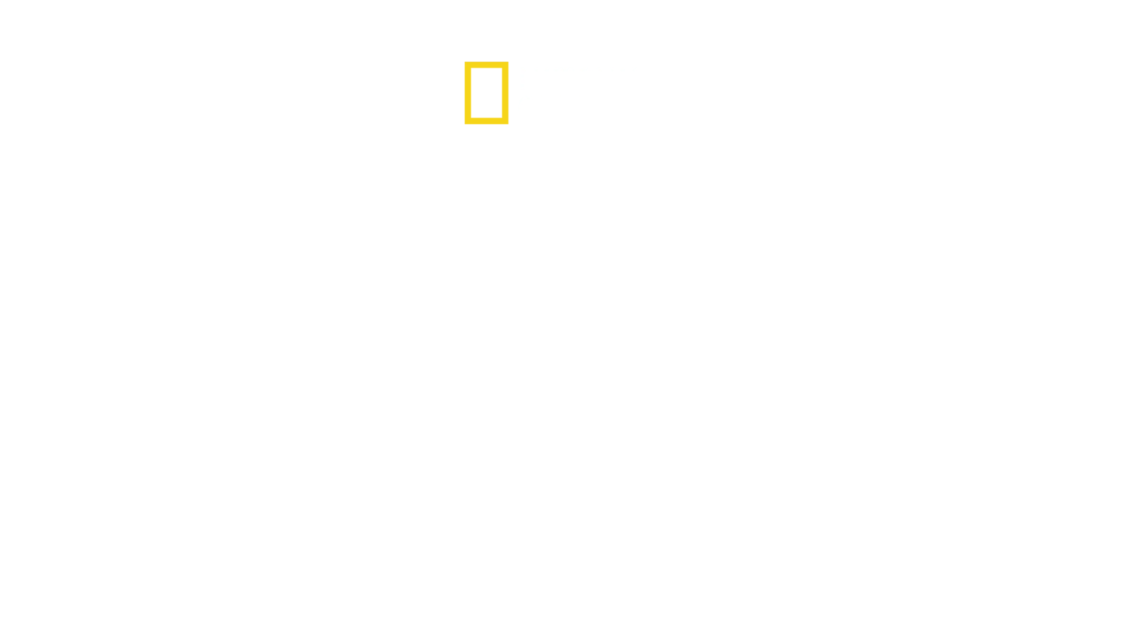 Bobi Wine : pour la démocratie