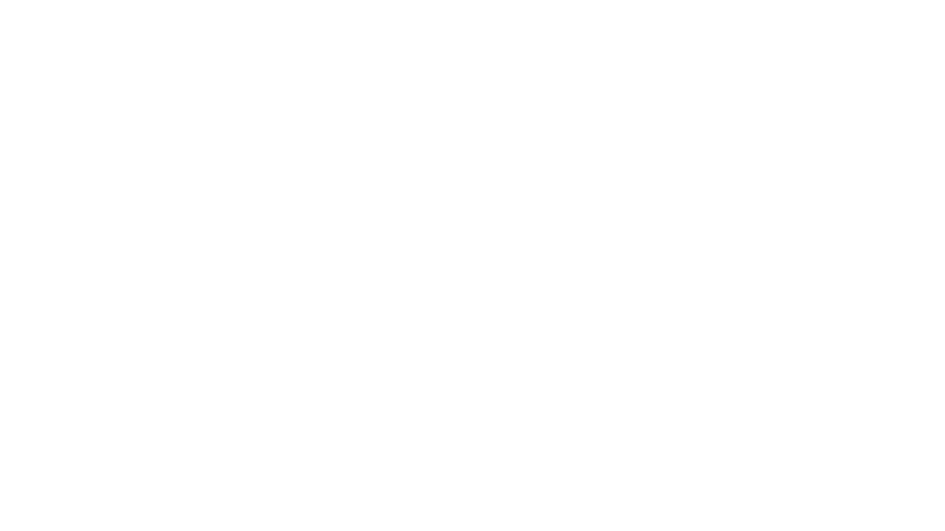 Die Brücke - Transit in den Tod