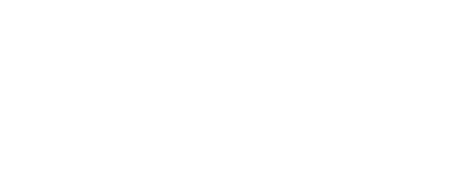 Die Brücke - Transit in den Tod