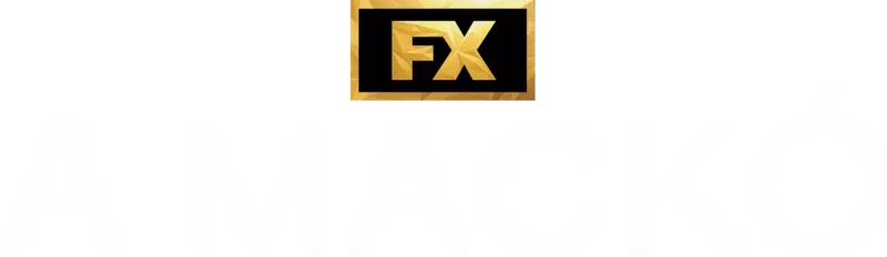 A mackó
