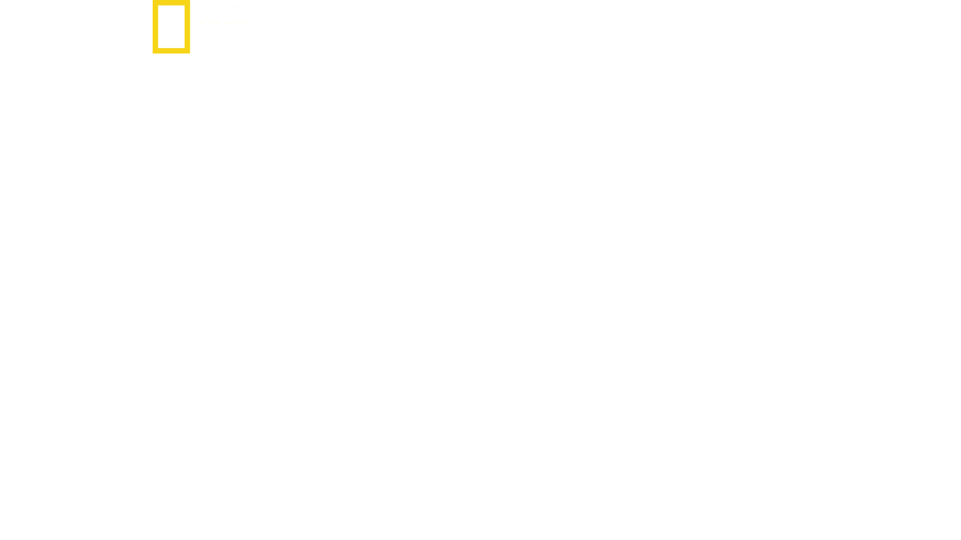 SS indefra: Vejen mod magten