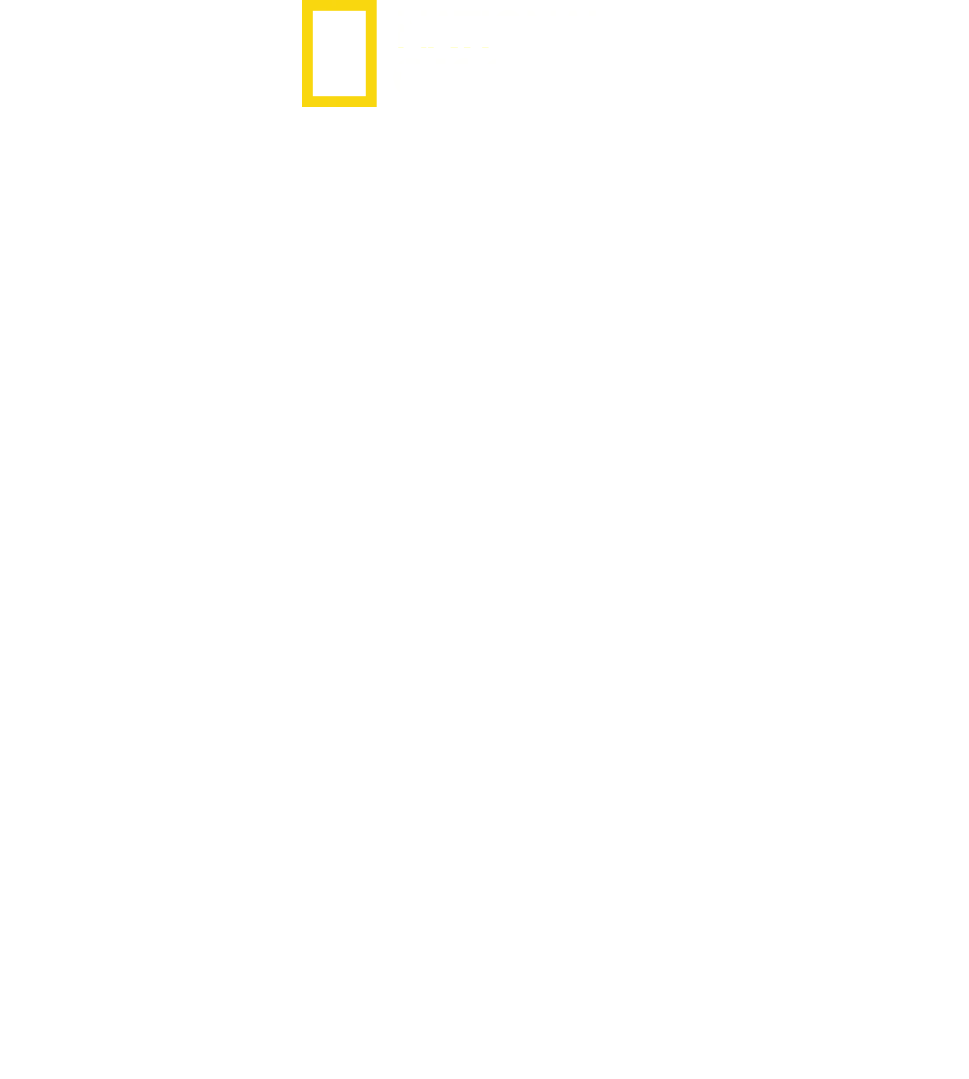 SS indefra: Vejen mod magten