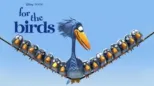 thumbnail - For the Birds