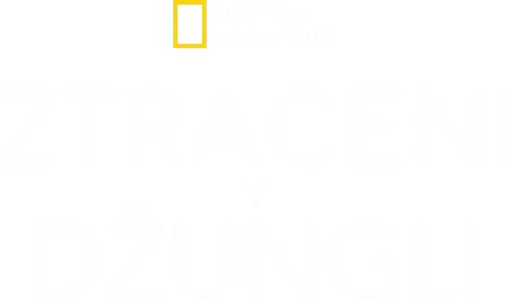 Ztraceni v džungli