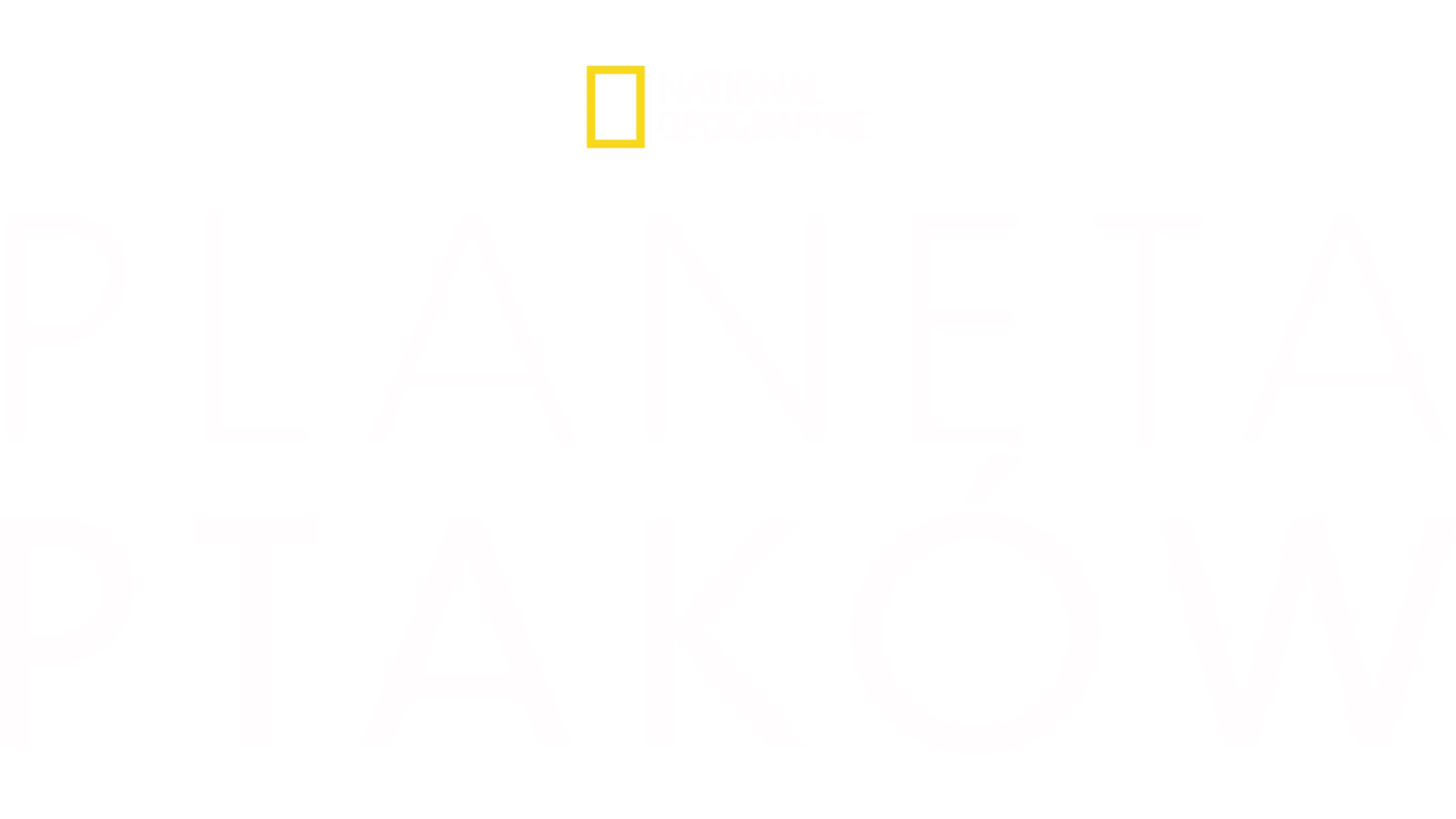 Planeta ptaków