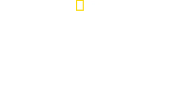Planeta ptaków