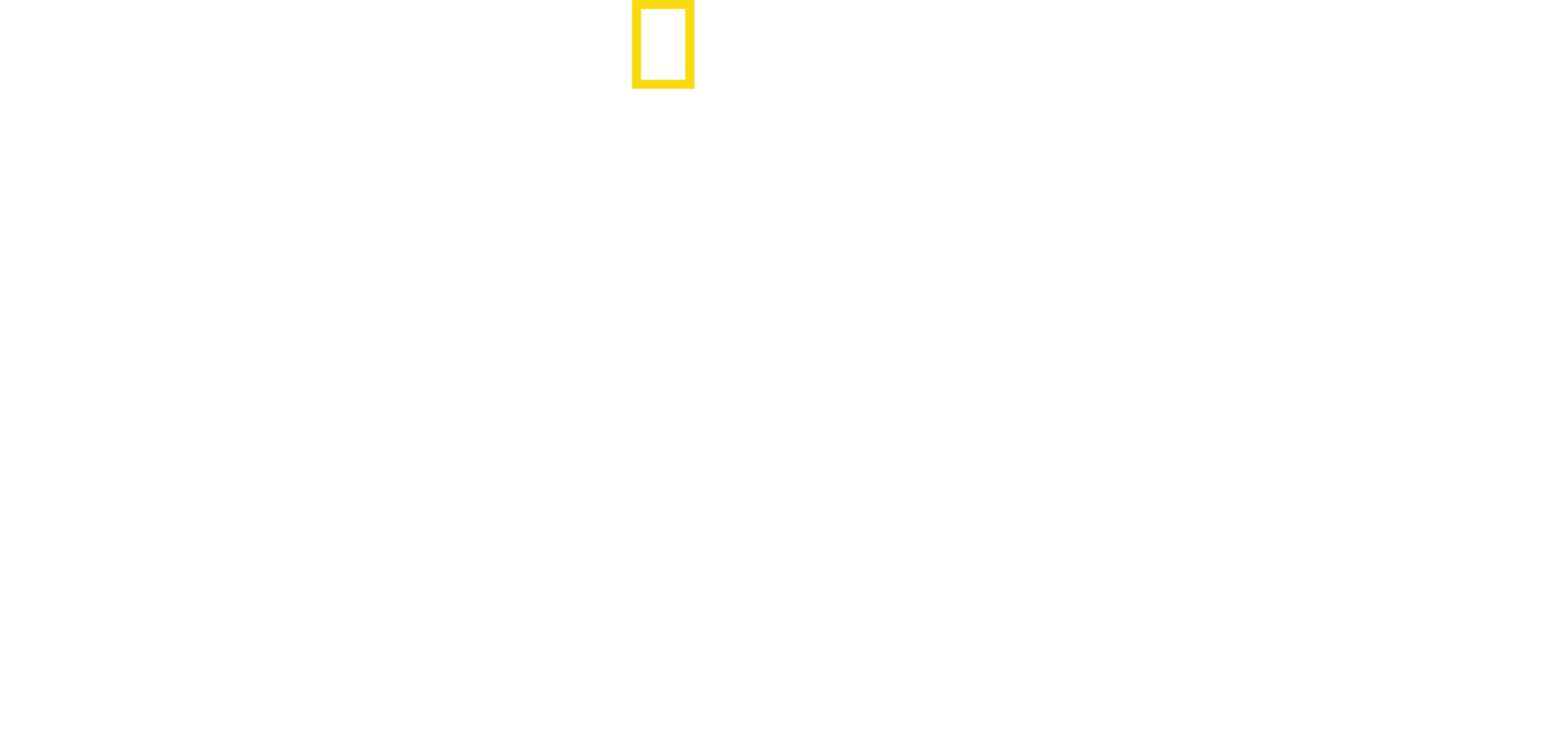 Planeta ptaków