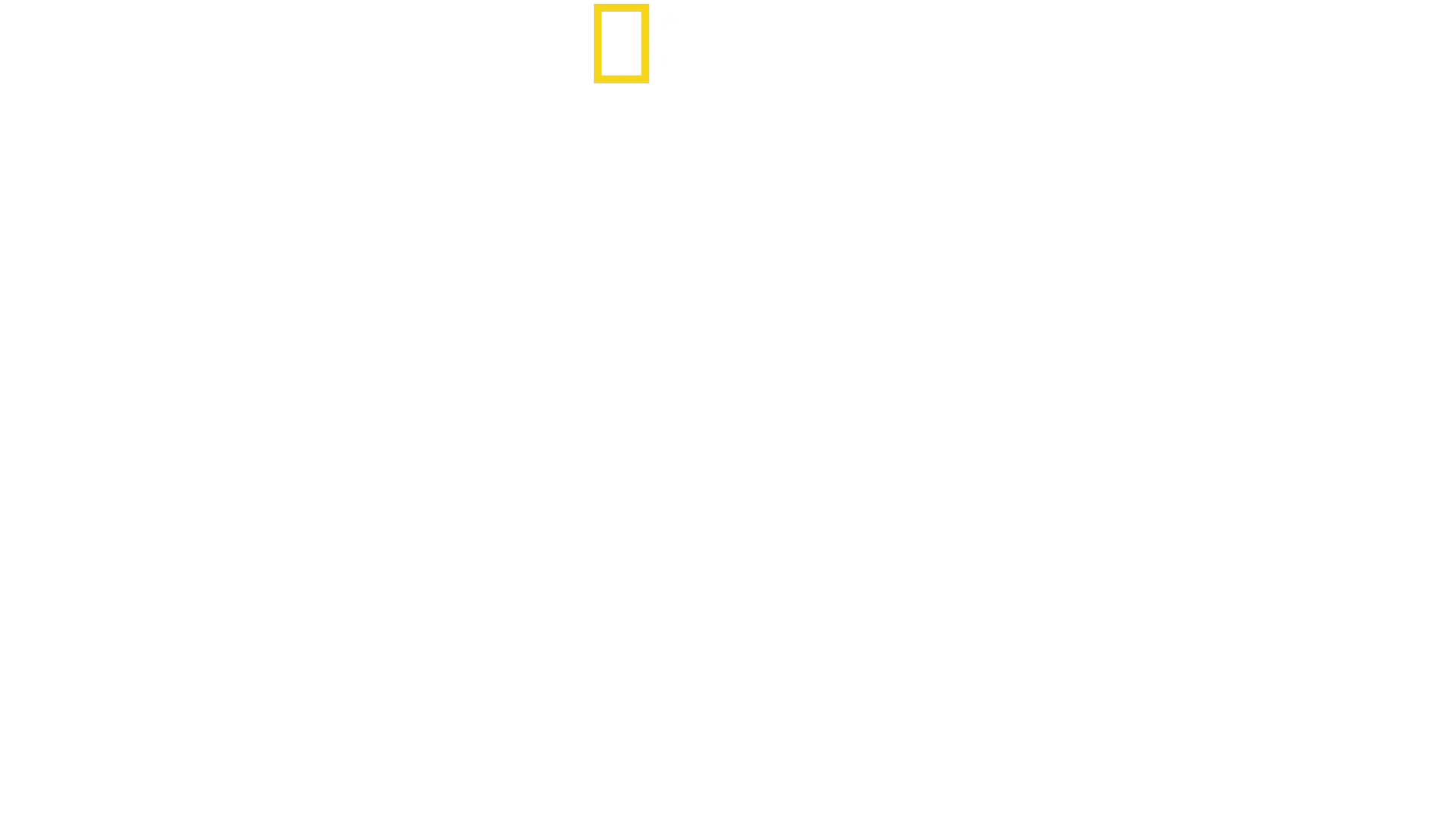 Ultimate Survival WWII