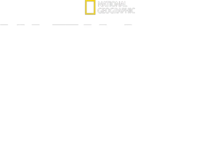 Ultimate Survival WWII