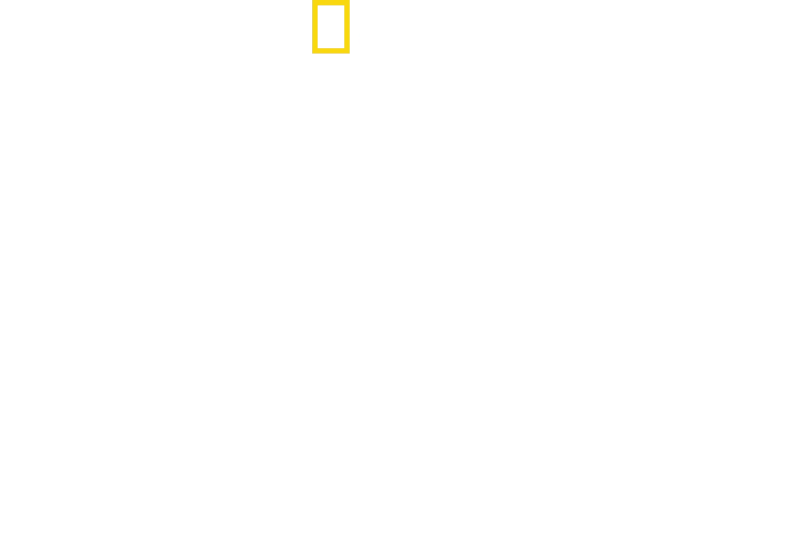 Ultimate Survival WWII