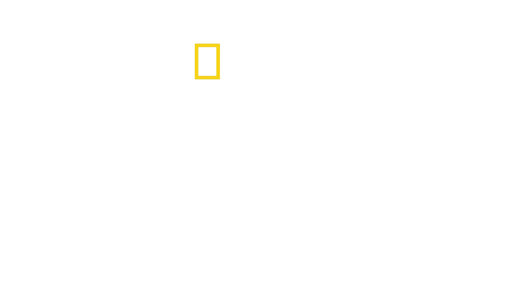Cosa ti dice il cervello?