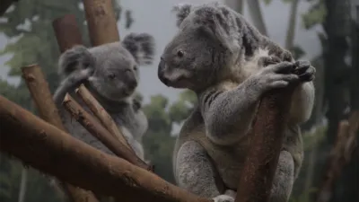 thumbnail - S4:E7 Koala-Palooza