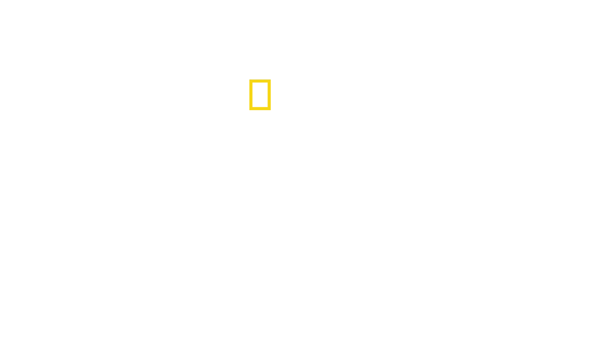 Havnesikkerhed: Hamborg