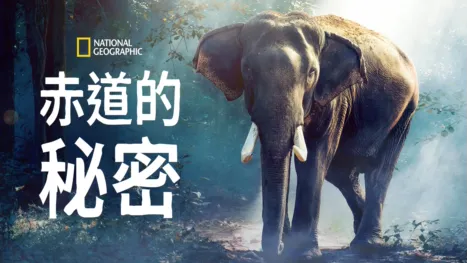 thumbnail - 赤道的祕密