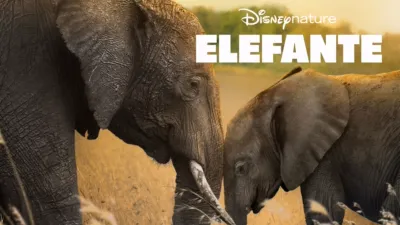 Elefante