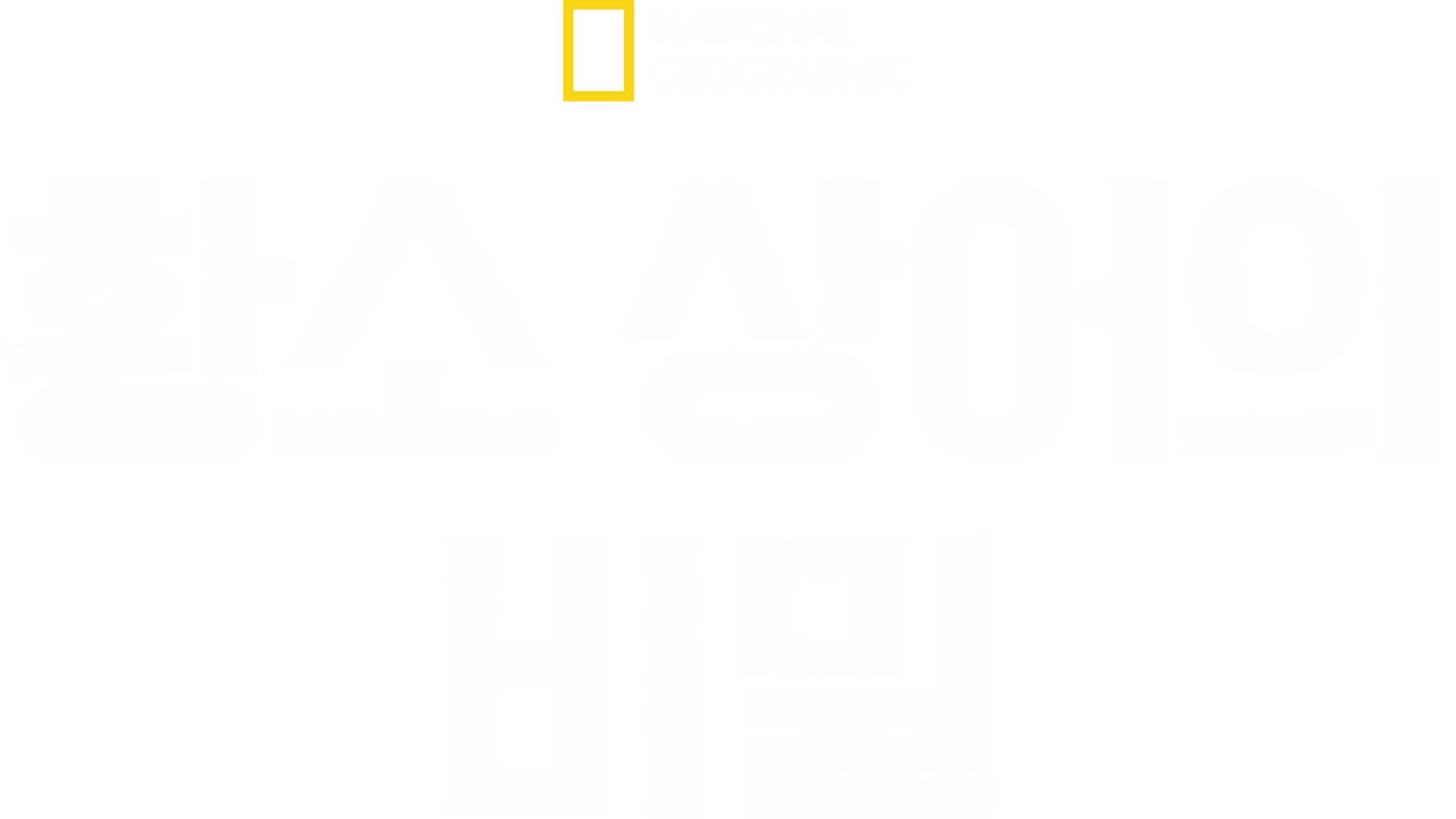 황소 상어의 비밀