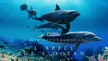 thumbnail - David Attenborough : L'Appel de l'Océan