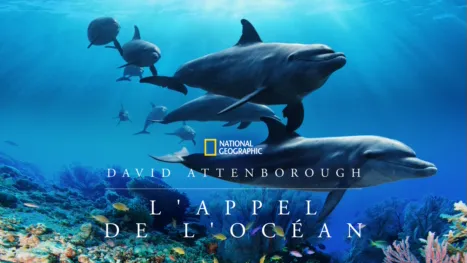 thumbnail - David Attenborough : L'Appel de l'Océan