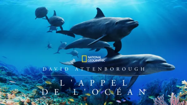 thumbnail - David Attenborough : L'Appel de l'Océan