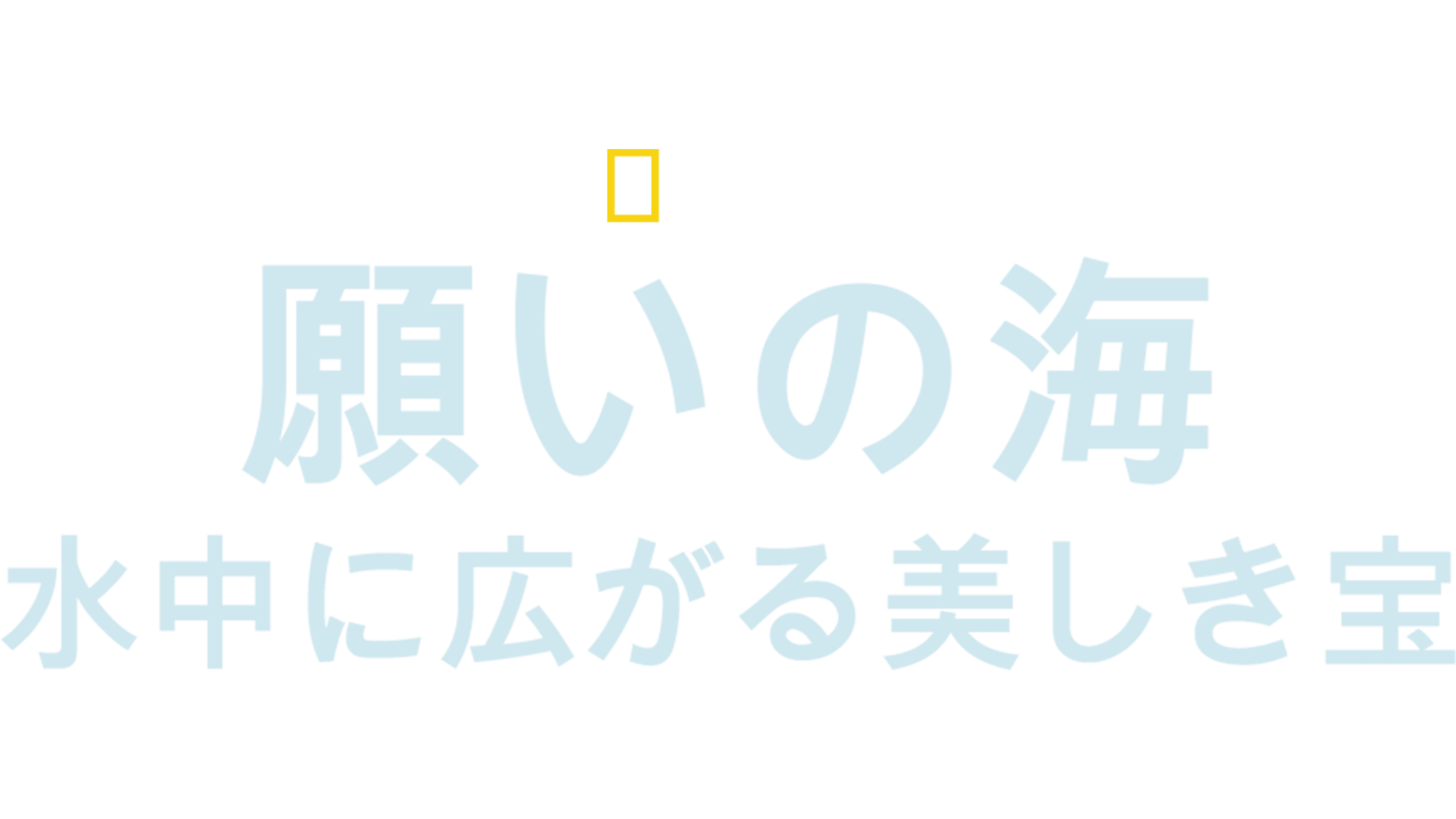 願いの海：水中に広がる美しき宝