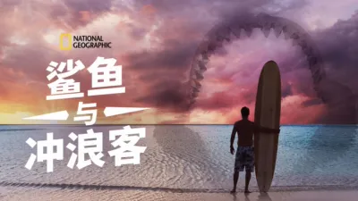 鲨鱼与冲浪客