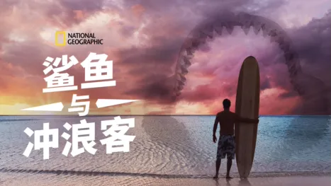thumbnail - 鲨鱼与冲浪客