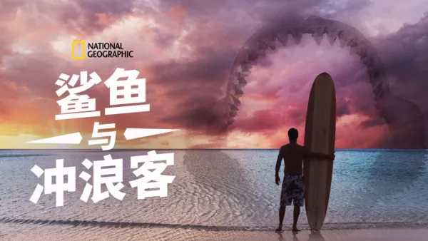 thumbnail - 鲨鱼与冲浪客