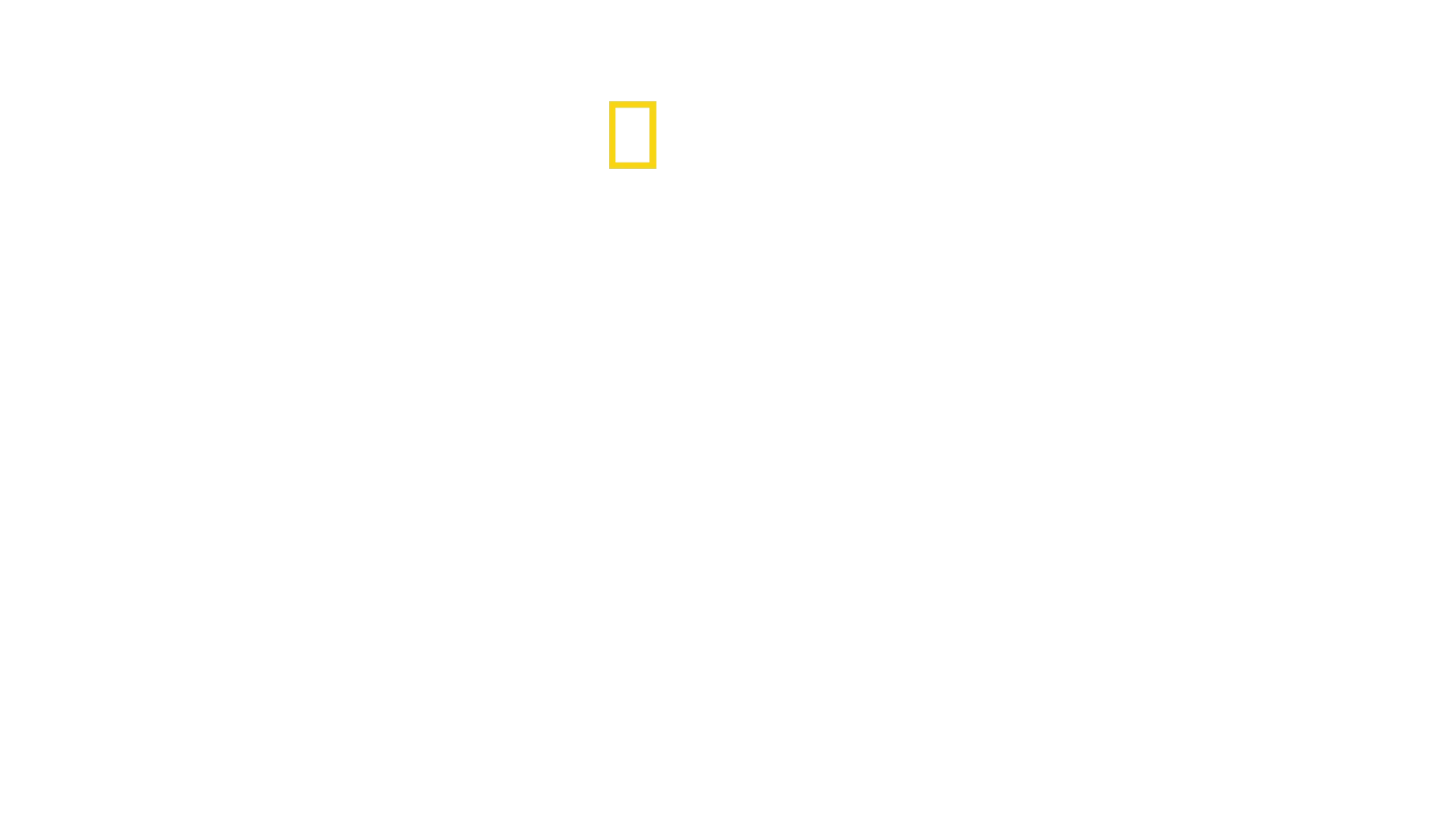バーティのハイテク・クローズアップ！シャーク編