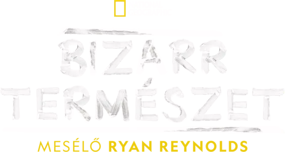 Bizarr természet