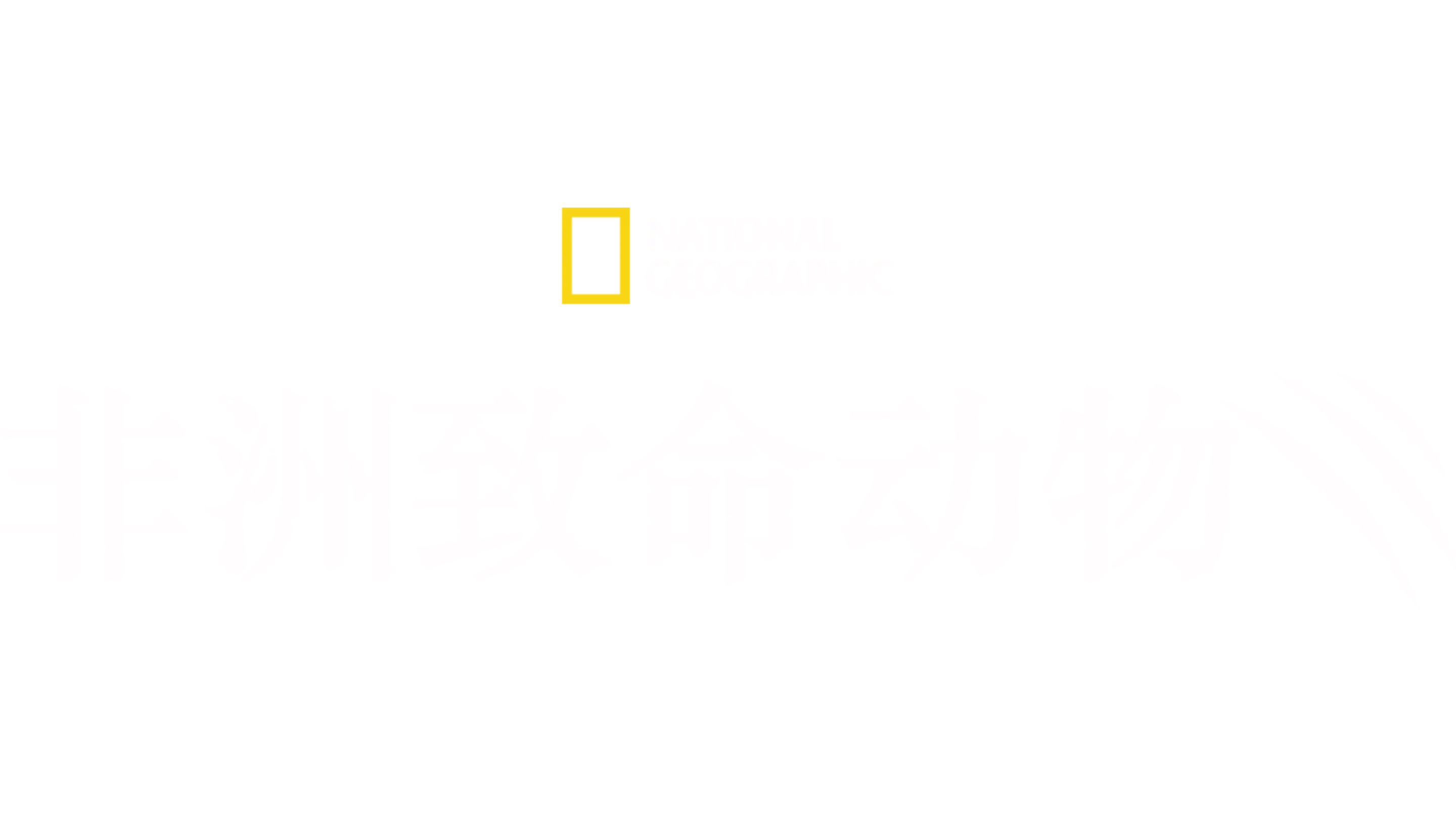 非洲致命动物