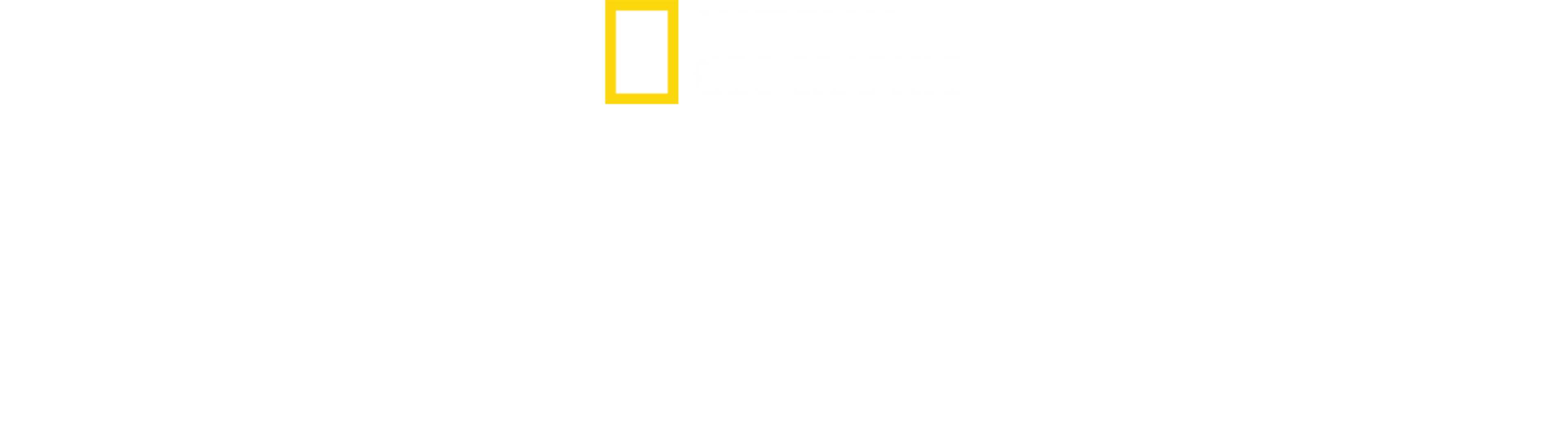 非洲致命动物