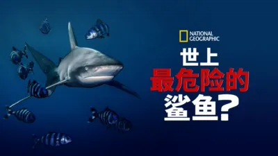 thumbnail - 世上最危险的鲨鱼？