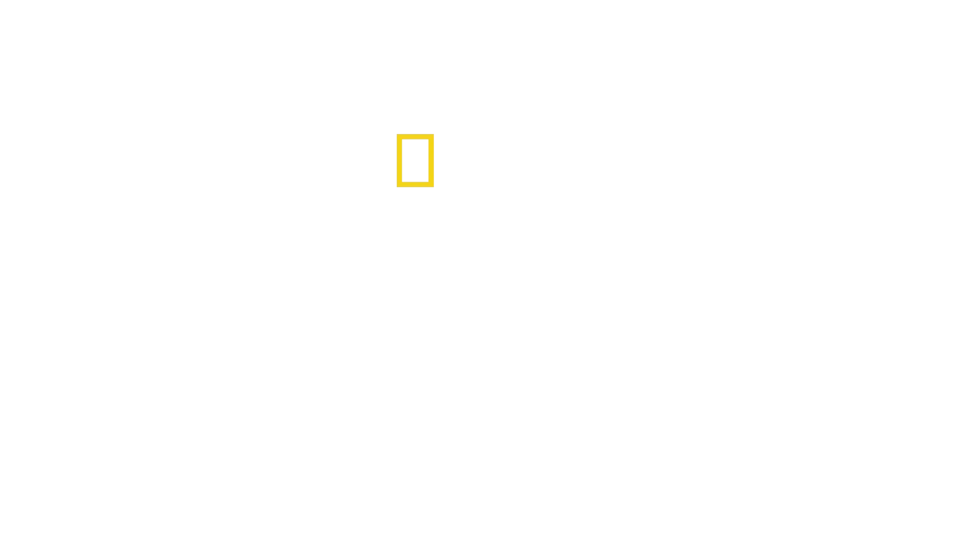 Pirates: Behind the Legends