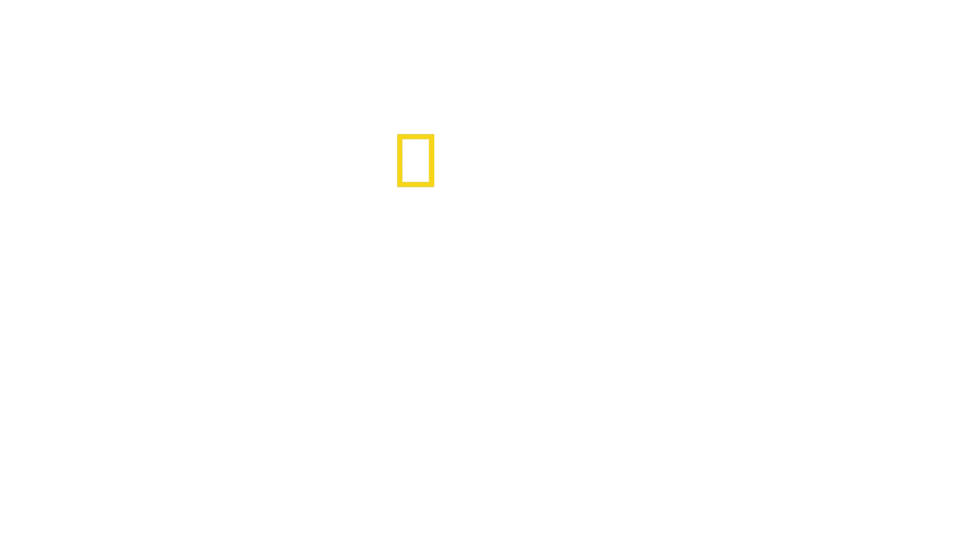 Pirates: Behind the Legends