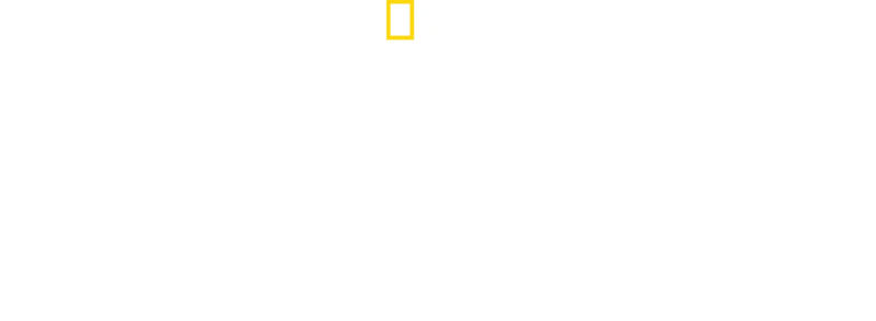 Jane Goodallová – životní příběh